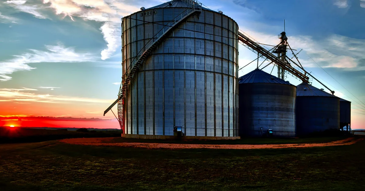 Explore why silo structures can hinder your business growth and learn strategies to create more cohesive team dynamics.